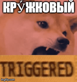 Triggered GIF