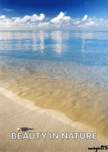 Tropical Beach GIF