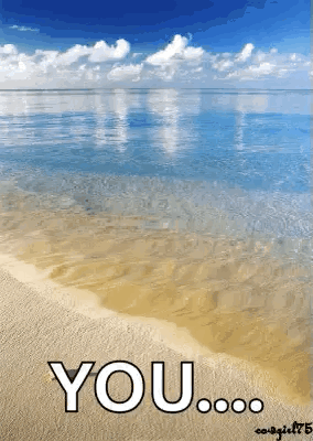 Tropical Beaches GIF
