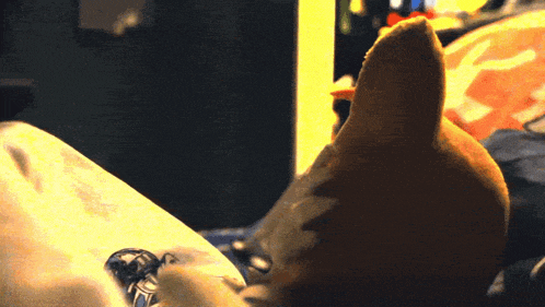 True Truth GIF