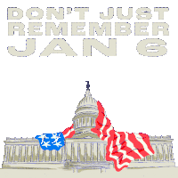Trump January6 Sticker