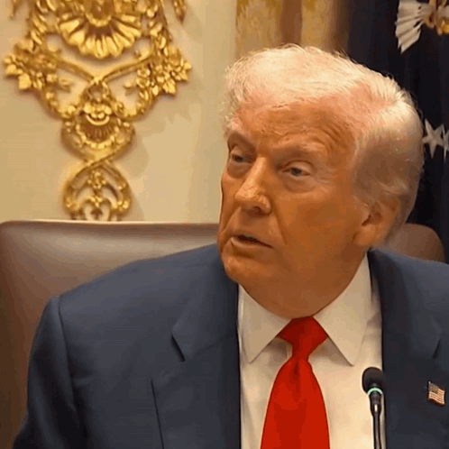 Trump Shhh Trump Hush GIF