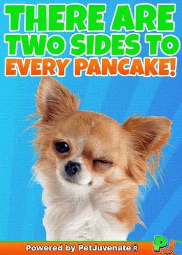 Truth Hurts Two Sides Story Funny Cute Dog Pup Gif A Omg Love Love Fur Baby Dog My Baby Talk Dog Mom GIF
