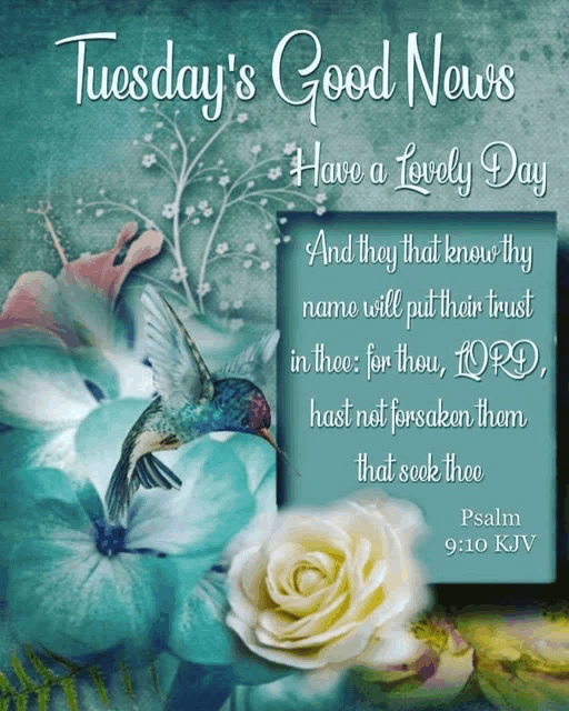 Tuesday Gif Scripture Meme