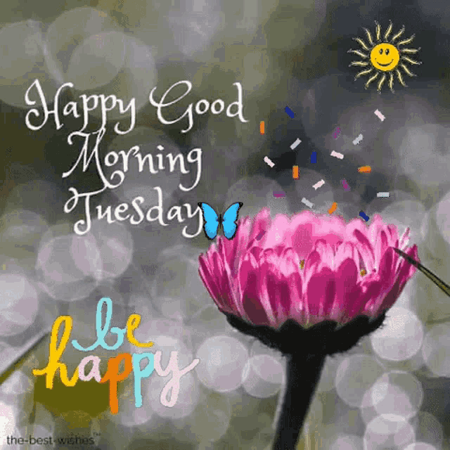 Tuesday Happy Tuesday GIF