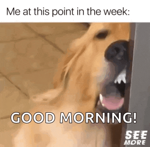 Tuesday Its GIF