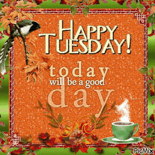 Tuesday GIF