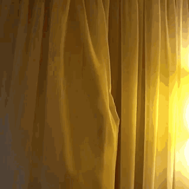 Tulla Curtain Tulla Peakaboo GIF