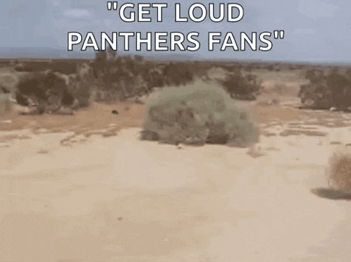 Tumbleweed Silence GIF