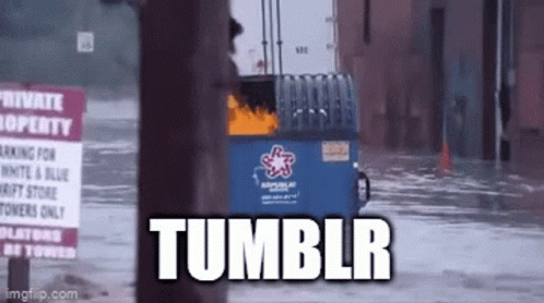 Tumblr Dumpster Fire GIF