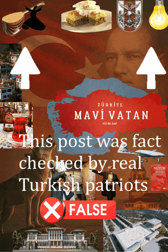 Turkey Fact Check Turkey Fact Check False GIF