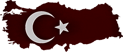 Turkey Is The Best Meme