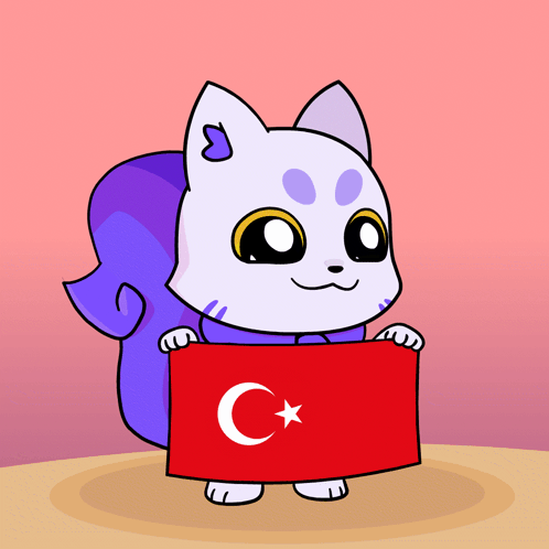 Turkey Tur GIF