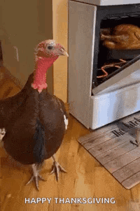 Turkey Turkey Looking At Friend GIF