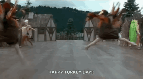 Turkey Turkeys GIF