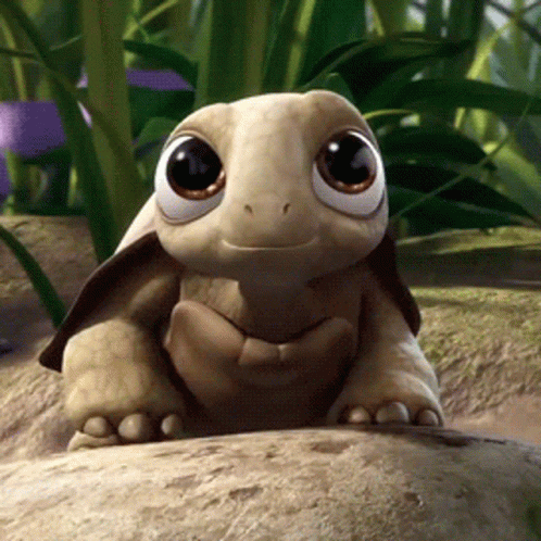Turtle Cute GIF