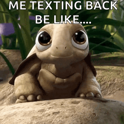 Turtle Cute GIF