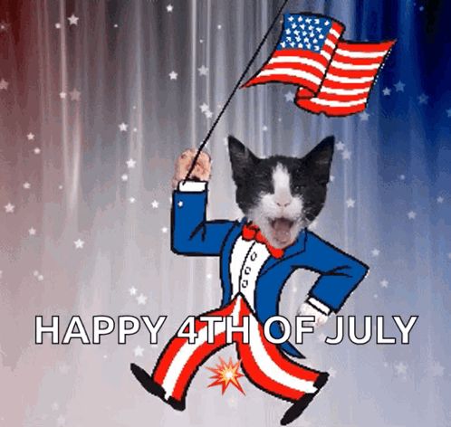 Tuxedo Cat Usa GIF