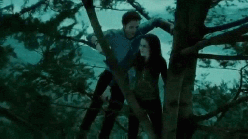 Twilight GIF