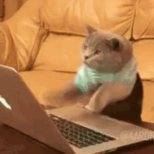 Type GIF