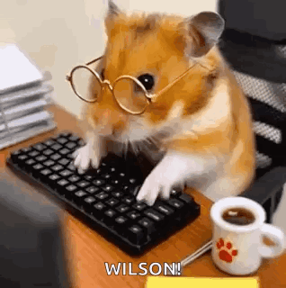 Typewriter Type Fast GIF