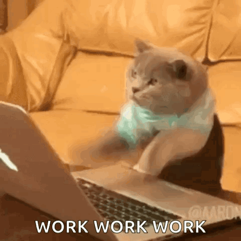 Typing Cat Typing GIF