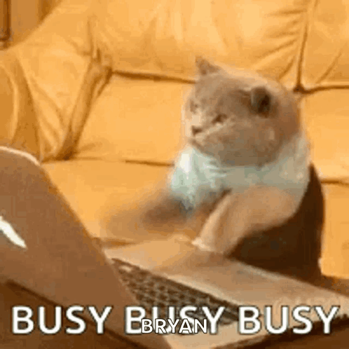Typing Laptop GIF
