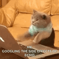 Typing Laptop GIF