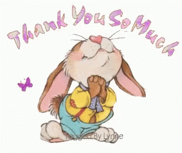 Tysm Thank You GIF