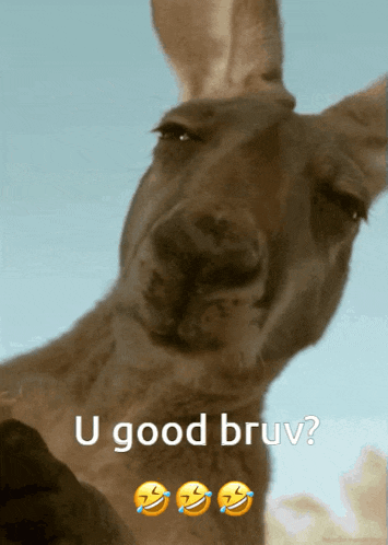 U Good Bruv U Good Bro GIF