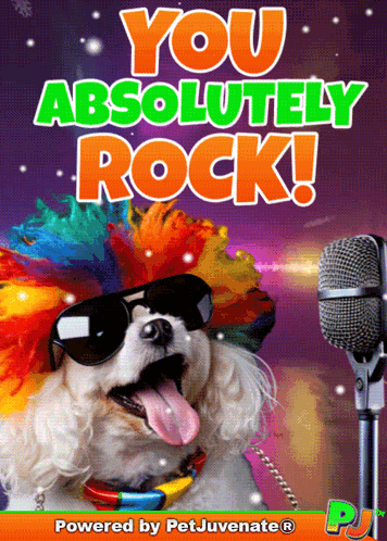 U Rock You Rock GIF