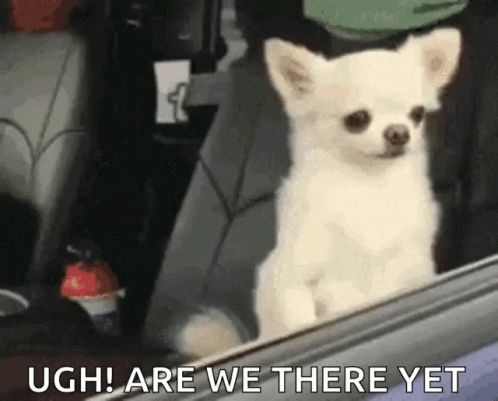 Ugh Are We There Yet GIF