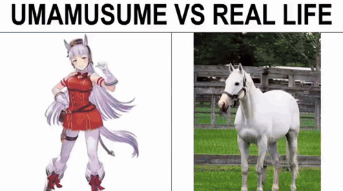 Umamusume GIF