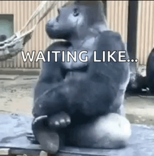 Unbothered Waiting GIF