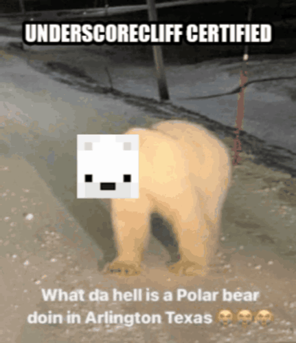 Underscorecliff Arlington Texas GIF