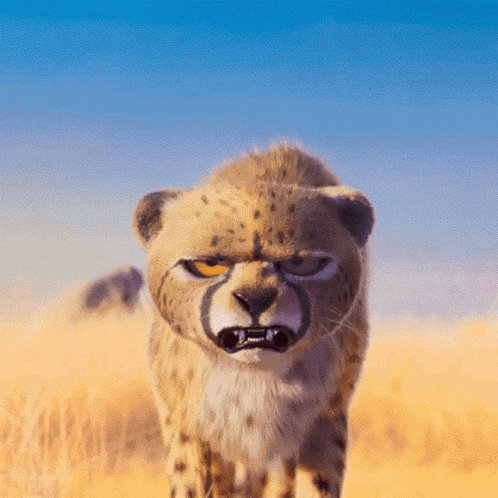 Unimpressed Cheetah GIF