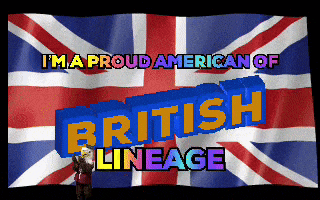 United States Usa Flag GIF