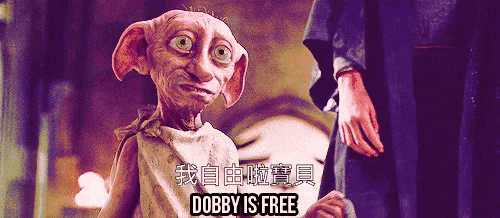 自由 解放 多比 哈利波特 GIF