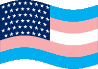 Us Usa Sticker