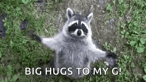 V A Sly GIF