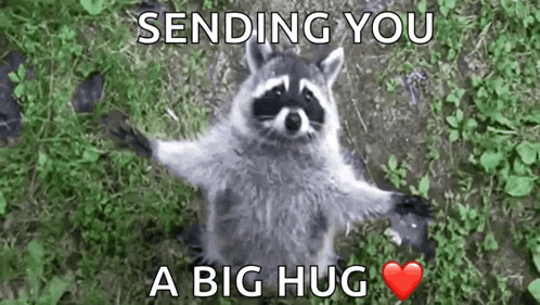 V A Sly GIF