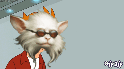Valannia Money GIF