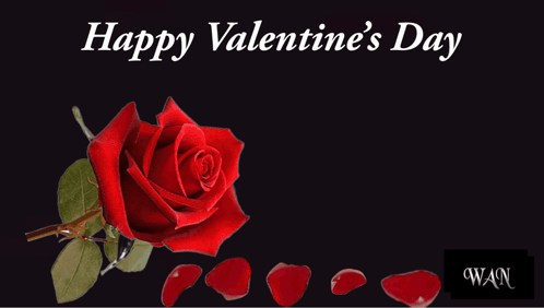 Valentine'S Day Happy Valentine'S Day GIF