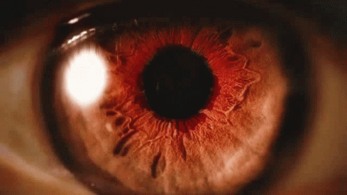 Vampire Vampire Eye GIF