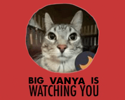 Vanya Admin Meme