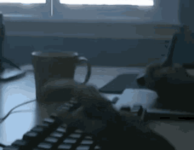 Vaxei Vaxei Singletap GIF