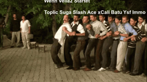 Velia2 GIF