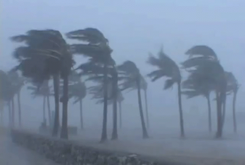 Vent Hurricane GIF