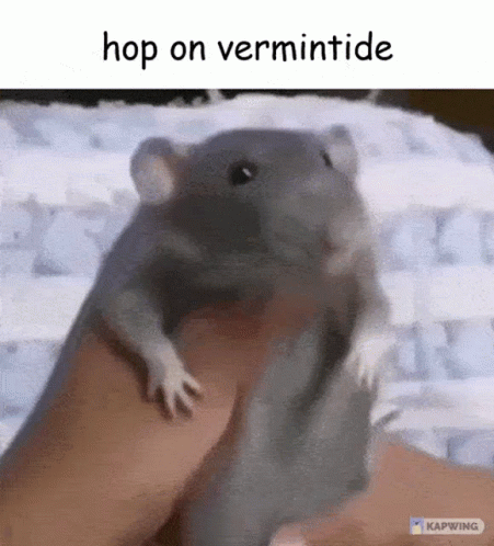 Vermintide Skaven GIF