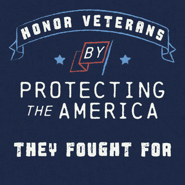 Veterans Day 101 Vets GIF